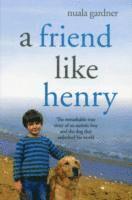 A Friend Like Henry (h�ftad)