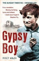 Gypsy Boy (inbunden)