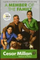 A Member of the Family (h�ftad)