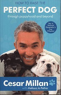 How To Raise The Perfect Dog (h�ftad)