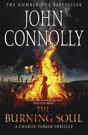 The Burning Soul (h�ftad)