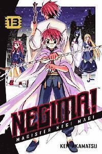 Negima!: vol. 13 (h�ftad)