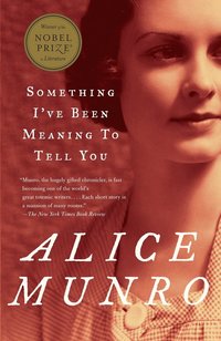 Something I've Been Meaning to Tell You: 13 Stories (h�ftad)