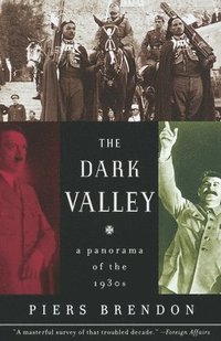 The Dark Valley: A Panorama of the 1930s (h�ftad)