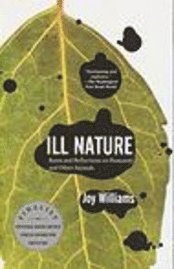 Ill Nature (h�ftad)