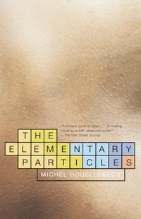 The Elementary Particles (h�ftad)