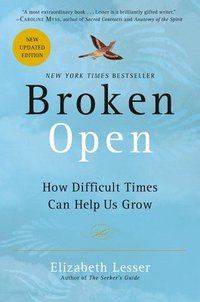 Broken Open: How Difficult Times Can Help Us Grow (pocket)