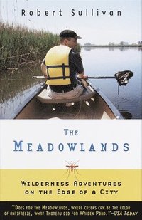 The Meadowlands (kartonnage)