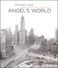Angel's World (inbunden)