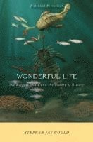 Wonderful Life (h�ftad)