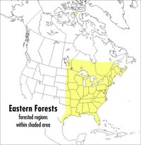 A Field Guide to Eastern Forests, North America (h�ftad)