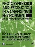 Photosynthesis and Production in a Changing Environment