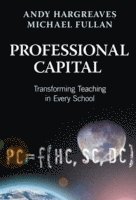 Professional Capital (h�ftad)