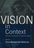 Vision in Context