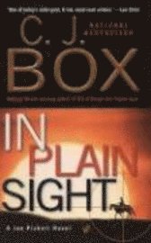 In Plain Sight (pocket)