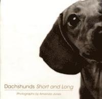 Dachshunds Short and Long (h�ftad)