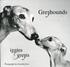 Greyhounds Big and Small - Iggies and Greyts