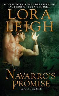 Navarro's Promise (h�ftad)