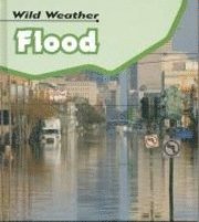 Flood
