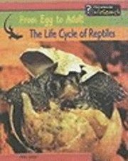 The Life Cycle of Reptiles (h�ftad)