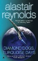Diamond Dogs, Turquoise Days (pocket)