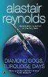 Diamond Dogs, Turquoise Days