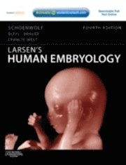 Larsen's Human Embryology (h�ftad)