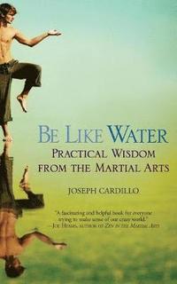 Be Like Water: Practical Wisdom from the Martial Arts (h�ftad)