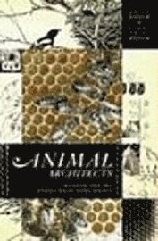 Animal Architects (inbunden)