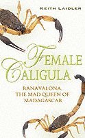 Female Caligula (inbunden)
