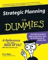 Strategic Planning for Dummies (h�ftad)