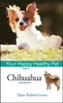 Chihuahua - Your Happy Healthy Pet