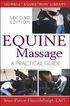 Equine Massage