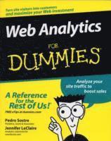 Web Analytics for Dummies (h�ftad)