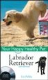 Labrador Retriever - Your Happy Healthy Pet