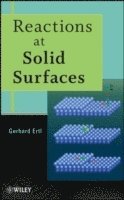 Reactions at Solid Surfaces (inbunden)