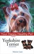 Yorkshire Terrier - Your Happy Healthy Pet