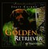 Golden Retriever - All That Glitters