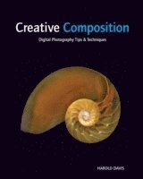 Creative Composition: Digital Photography Tips and Techniques (h�ftad)