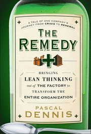 The Remedy (inbunden)