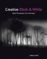 Creative Black and White: Digital Photography Tips and Techniques (h�ftad)