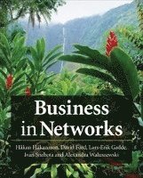 Business in Networks (h�ftad)