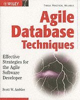 Agile Database Techniques : Effective Strategies for the Agile Software Developer