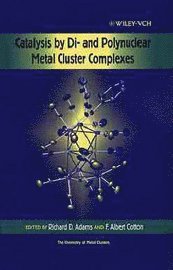 Catalysis by Di- and Polynuclear Metal Cluster Complexes (inbunden)