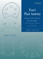 Esau's Plant Anatomy (inbunden)