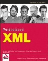 Professional XML (h�ftad)