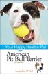 American Pit Bull Terrier - Your Happy Healthy Pet