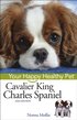Cavalier King Charles Spaniel - Your Happy Healthy Pet