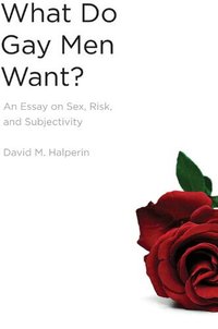 What Do Gay Men Want? (h�ftad)
