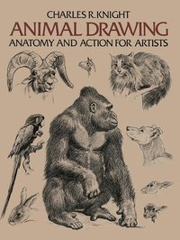 Animal Drawing (h�ftad)